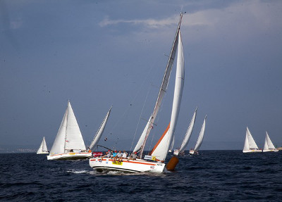 Polish Championships of the Construction Industry in Sailing